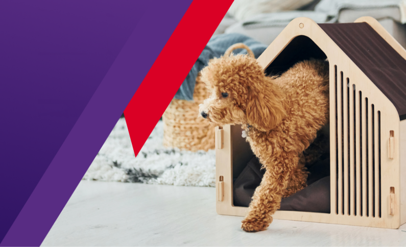 Bravecto ForyourClinic Cover mobile