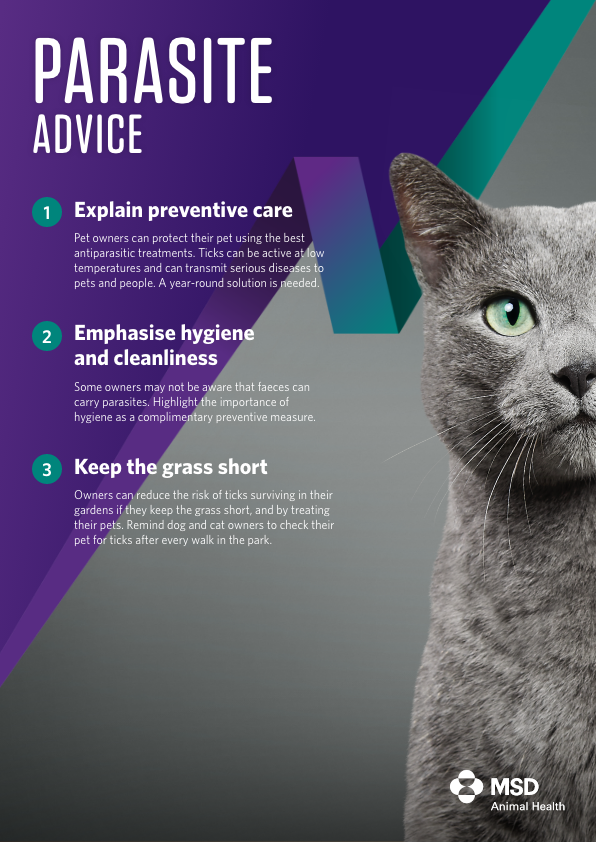 BR Web24 Vet Advice Parasites Unbranded IE 02
