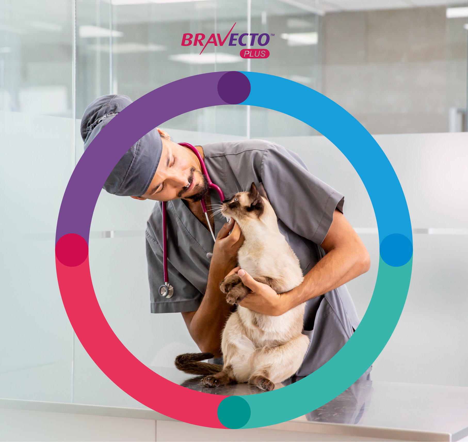 plus cats header mobile b767b4