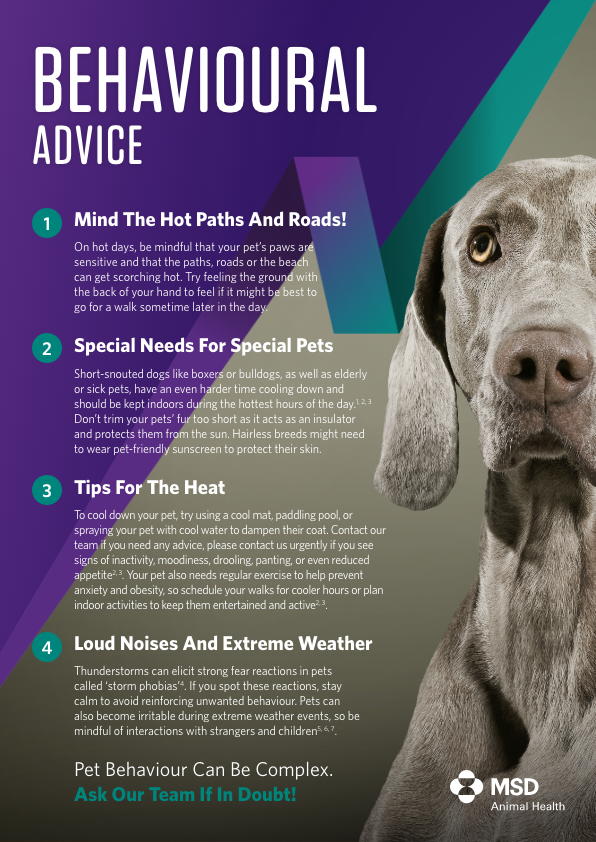 BR Web24 Vet Advice Behaviour extended P1 IE 03