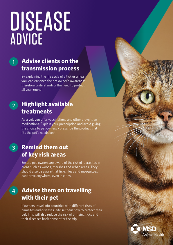 BR Web24 Vet Advice Diseases Unbranded IE 02