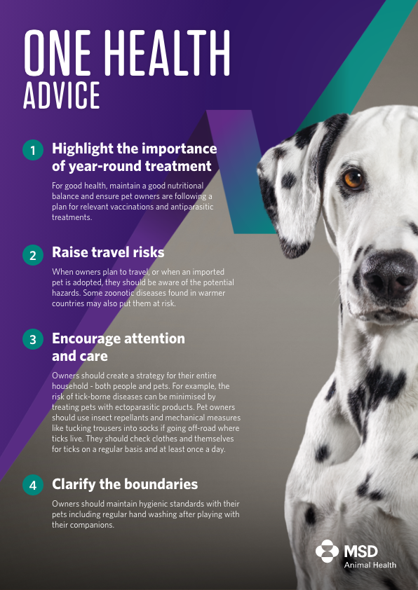BR Web24 Vet Advice One Health Unbranded IE 03